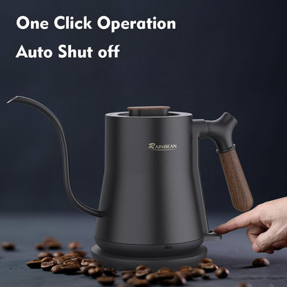 Gooseneck Electric Kettle, Stainless Steel, Auto Shutoff